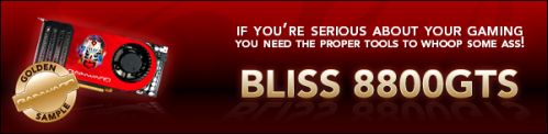 Gainward BLISS 8800GTS