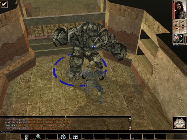 Neverwinter Nights