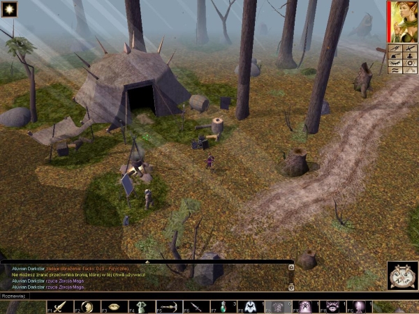 Neverwinter Nights