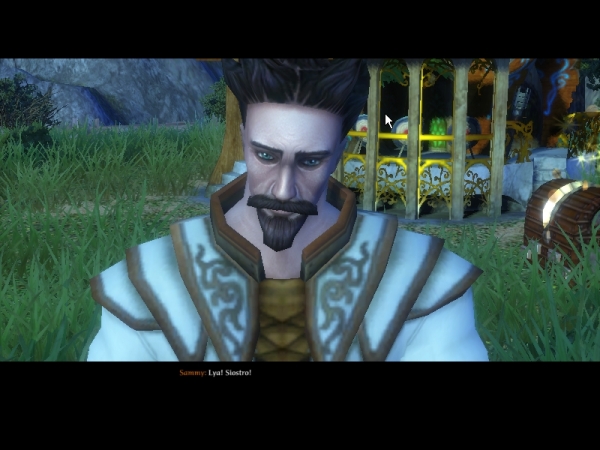 SpellForce 2: Czas Mrocznych Wojen